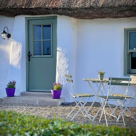 Murphys Thatched Cottage Mitchelstown Exterior photo