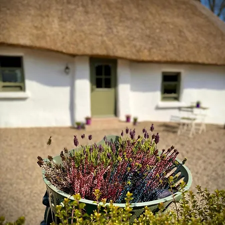 Murphys Thatched Cottage Mitchelstown Exterior photo