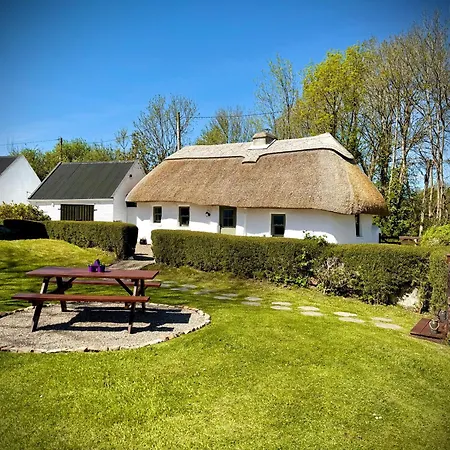 Murphys Thatched Cottage Mitchelstown Exterior photo