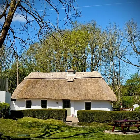 Murphys Thatched Cottage Mitchelstown Exterior photo