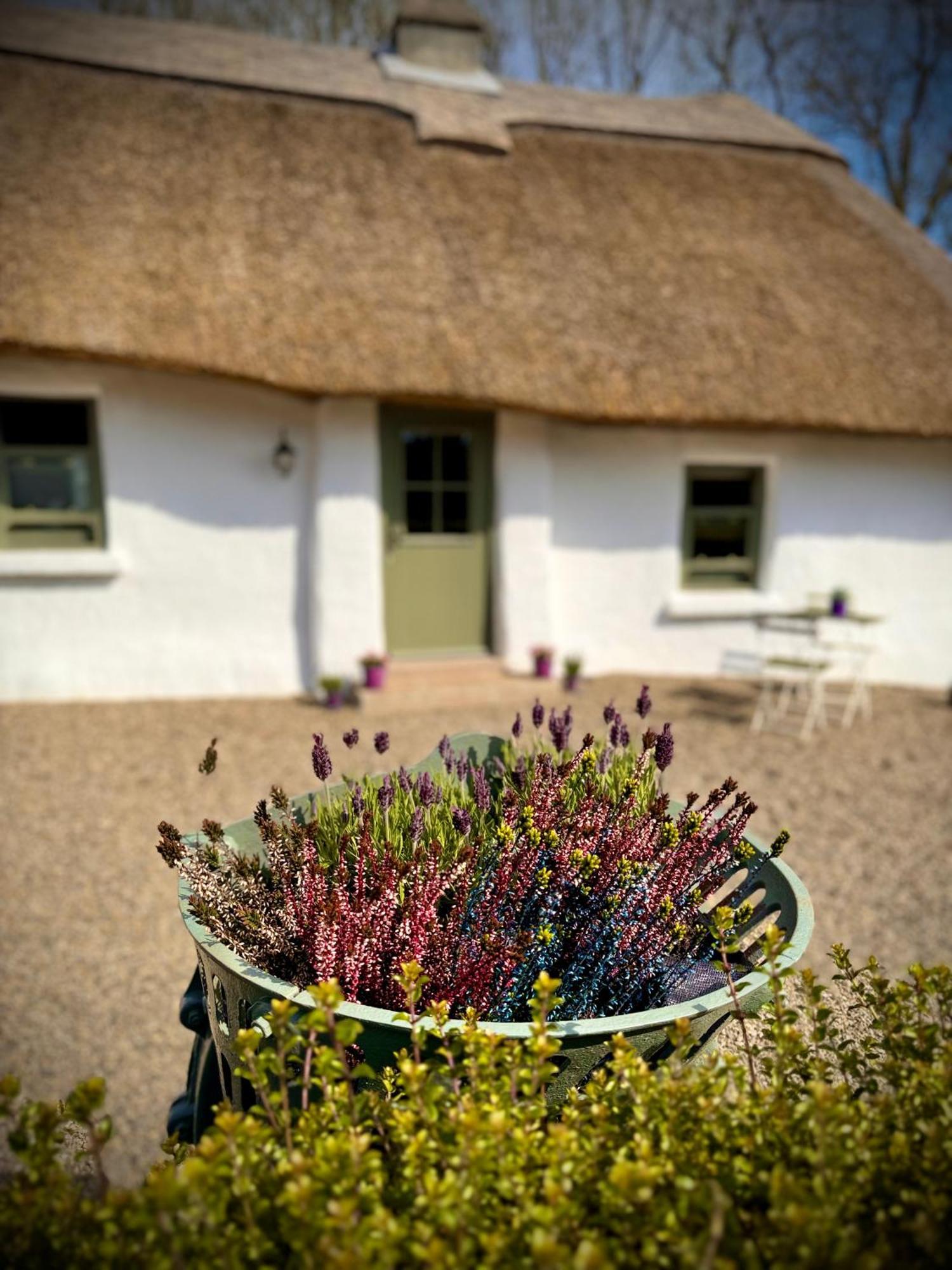 Murphys Thatched *
